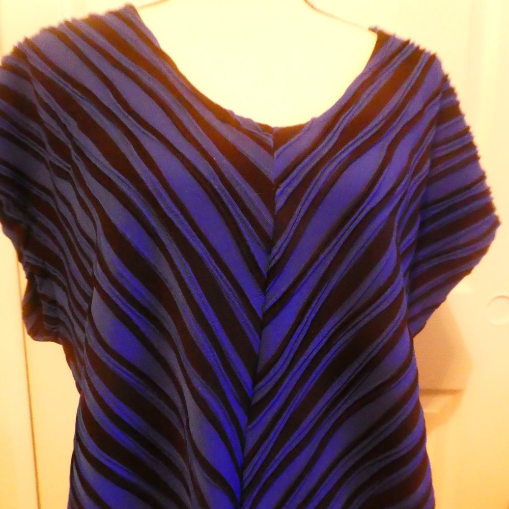 Plus Size Dana Buchman Striking Blue & Black Shirt